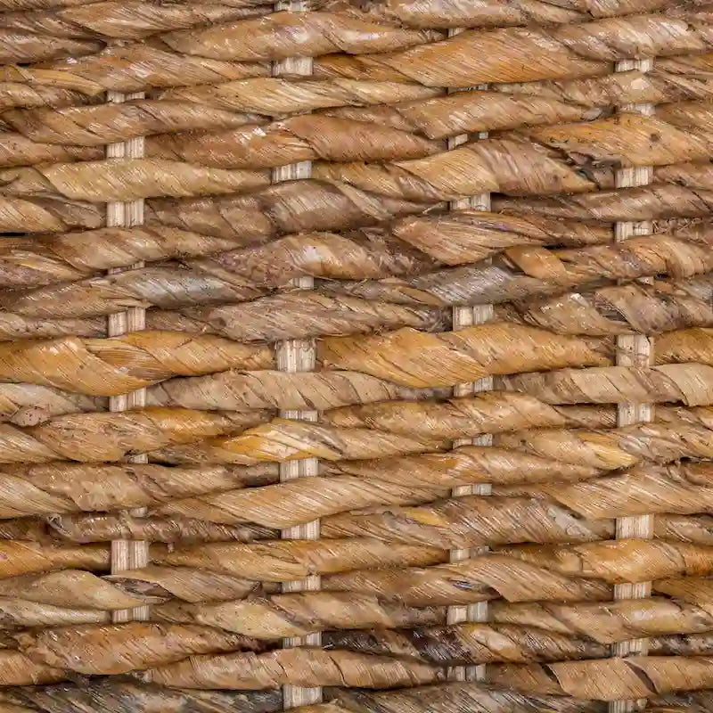 Chaise d'appoint en rotin Abaca tissé à la main – Coussin amovible, pieds en acajou, hauteur d'assise 48 cm